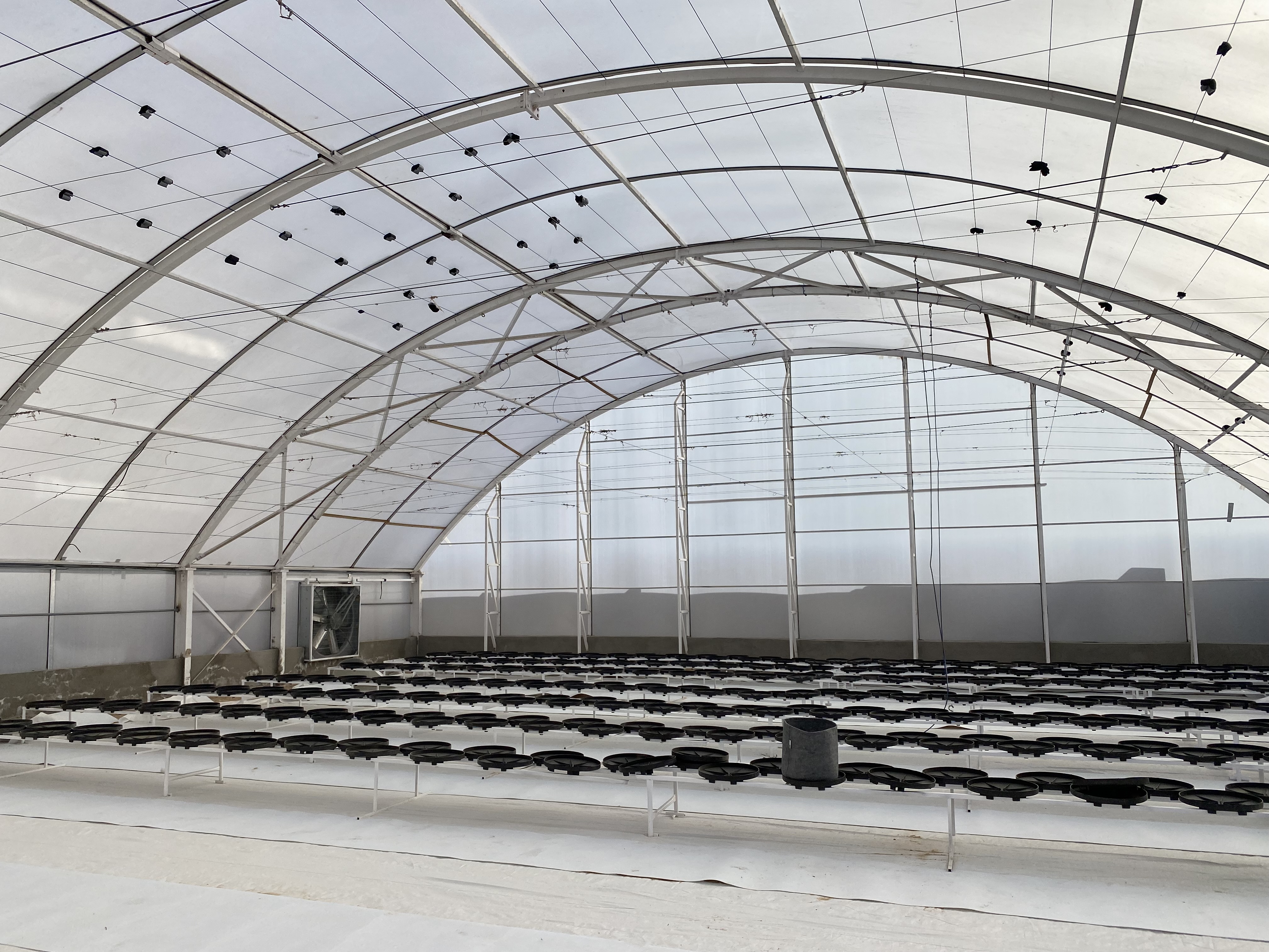 Tulima Greenhouses